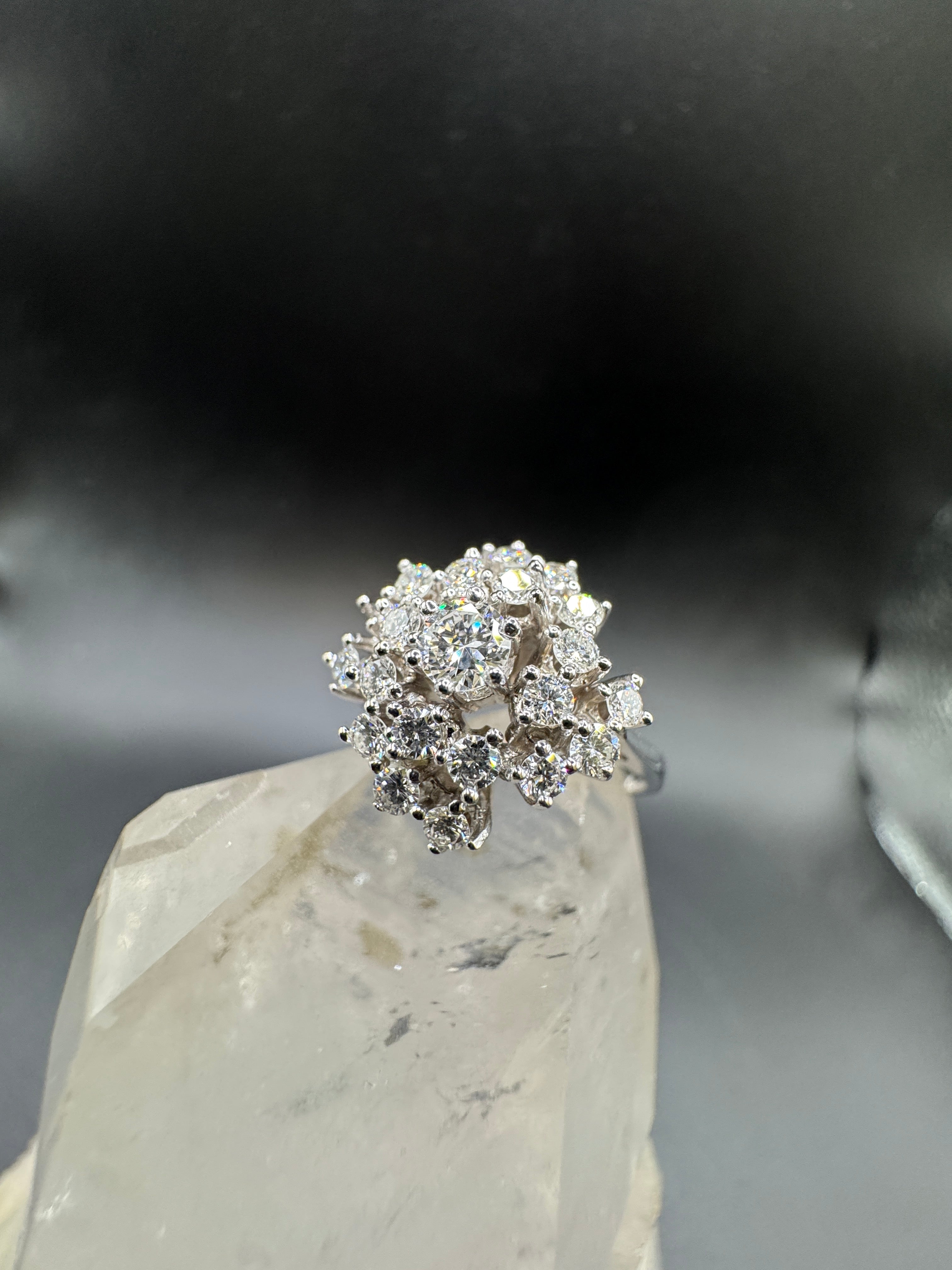 Stone-set ring in 14k white gold with fine brilliant-cut diamonds