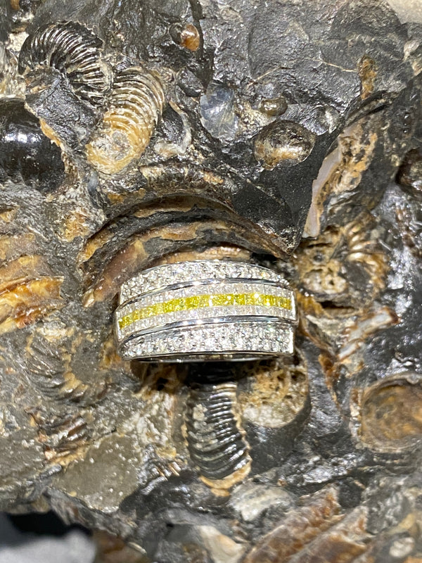 Elegant white gold ring in 18 carat with brilliant-cut diamonds and princess-cut diamonds 