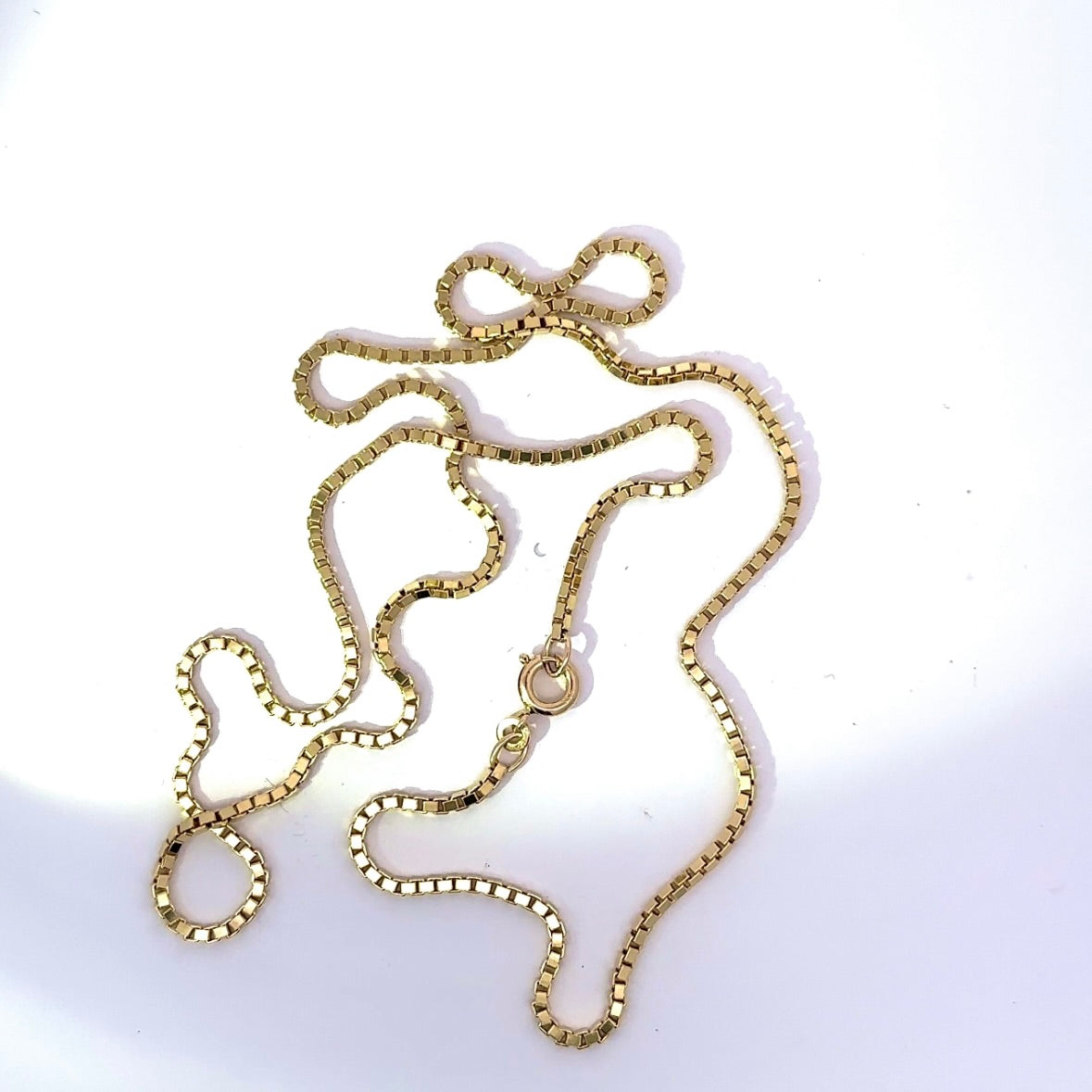 Luminous Venetian chain in 8 karat yellow gold with a spring ring clasp