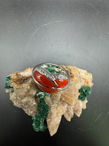 Edler Ring in 18 Karat Weißgold mit leuchtender Koralle & Brillanten