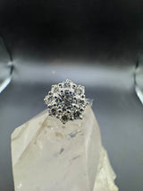 Edler Entourage-Ring in 18 Karat Weißgold mit feinen Brillanten