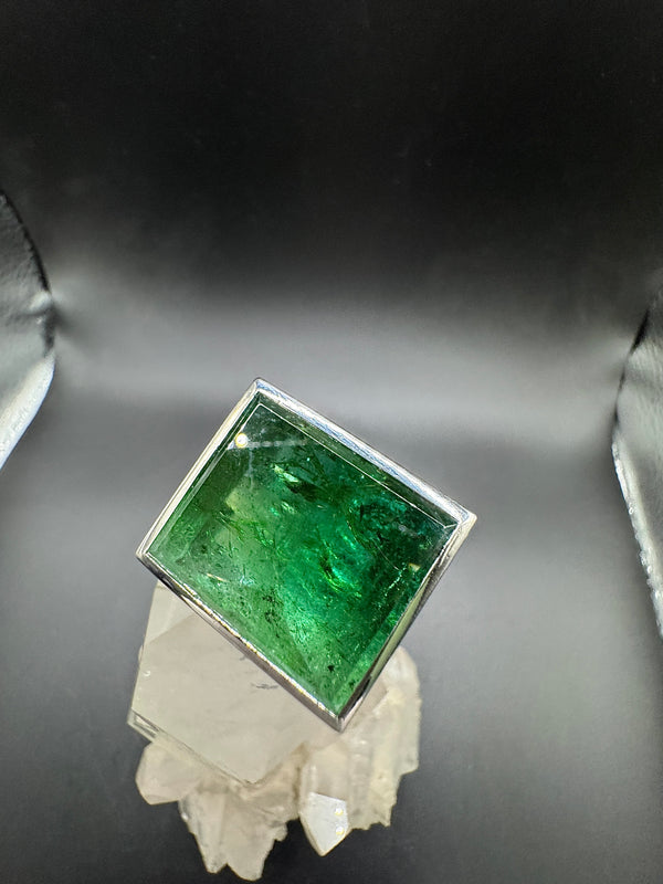 Einmaliger Ring in 18 Karat Weißgold mit beeindruckendem Turmalin