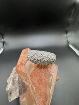 Wirkungsvoller Bicolor-Ring in 18 Karat Gelb- und Weißgold mit Brillanten