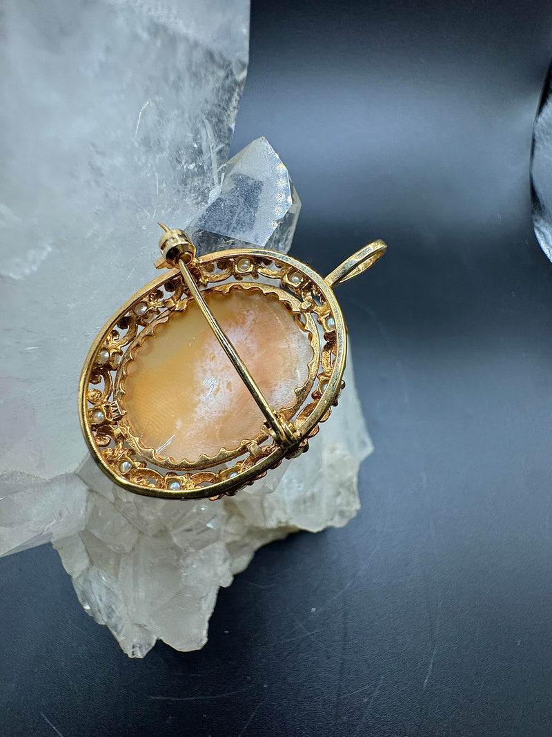 Antike Brosche in 14 Karat Gelbgold mit schöner Muschelgemme
