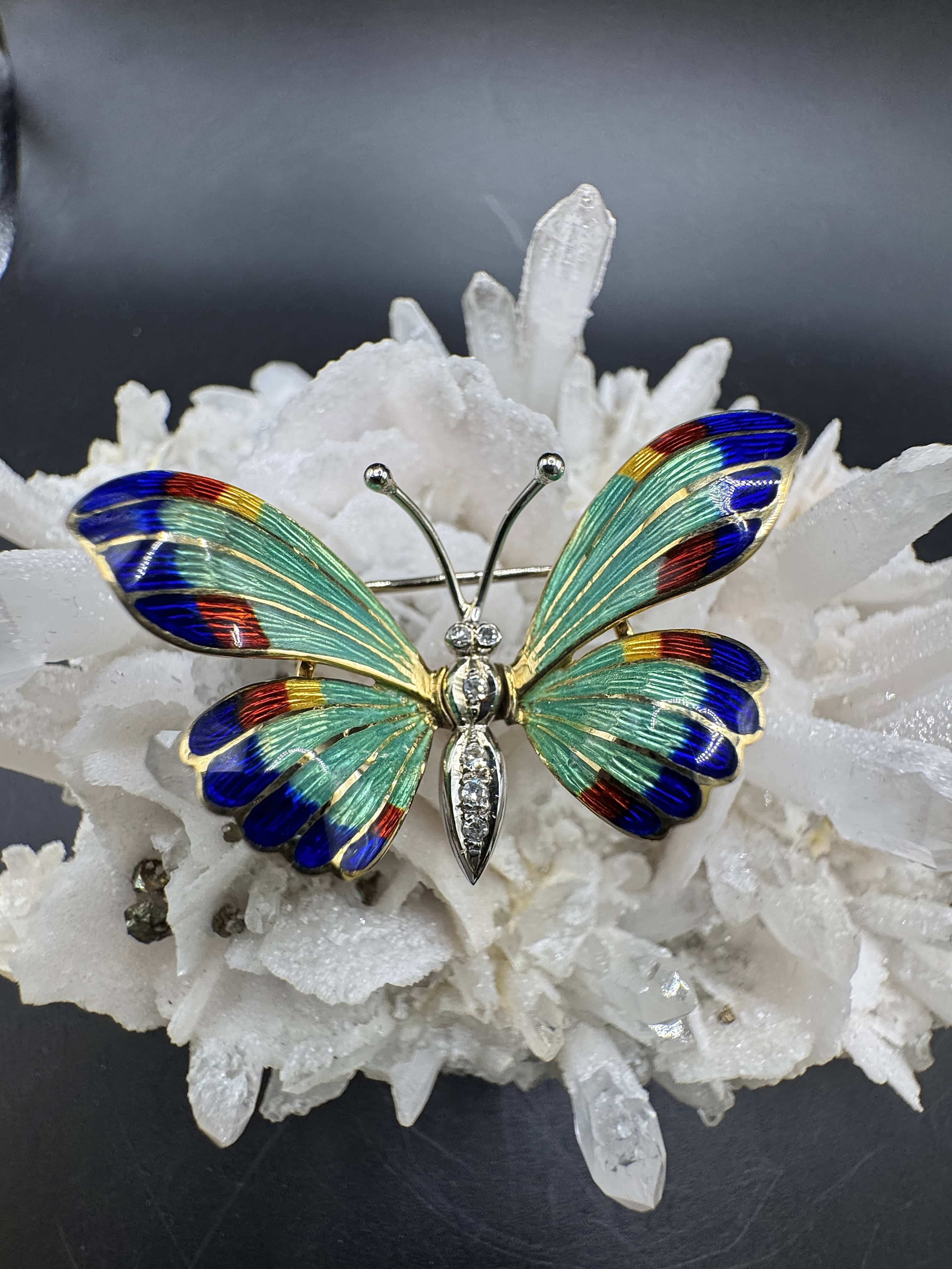 Butterfly