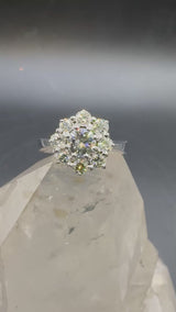 Edler Entourage-Ring in 18 Karat Weißgold mit feinen Brillanten